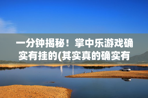 一分钟揭秘！掌中乐游戏确实有挂的(其实真的确实有挂)