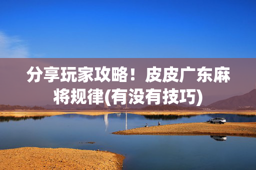 分享玩家攻略！皮皮广东麻将规律(有没有技巧)