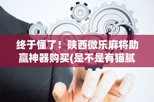 终于懂了！陕西微乐麻将助赢神器购买(是不是有猫腻)