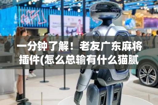 一分钟了解！老友广东麻将插件(怎么总输有什么猫腻)
