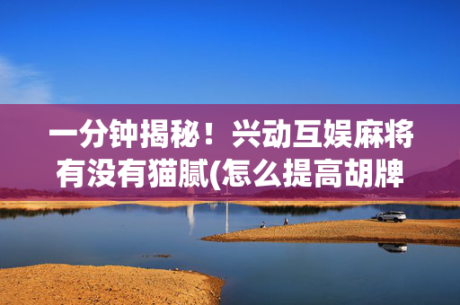 一分钟揭秘！兴动互娱麻将有没有猫腻(怎么提高胡牌率)