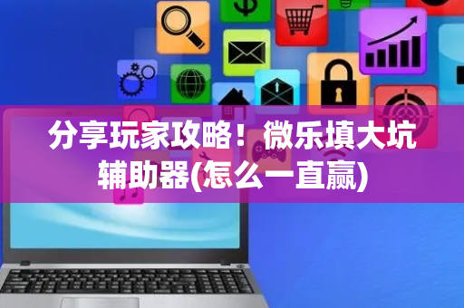分享玩家攻略！微乐填大坑辅助器(怎么一直赢)