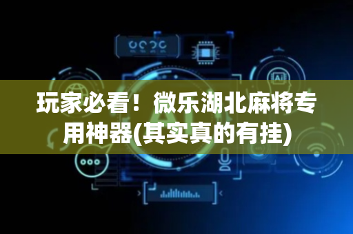 玩家必看！微乐湖北麻将专用神器(其实真的有挂)