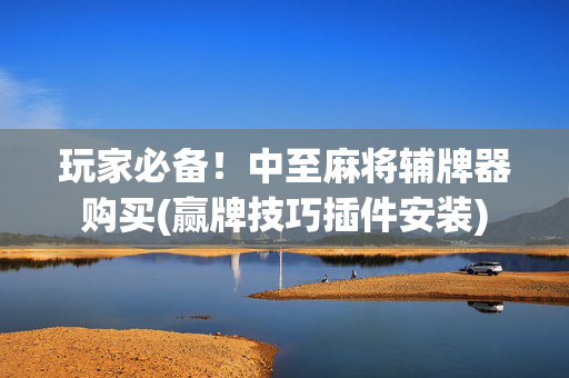 玩家必备！中至麻将辅牌器购买(赢牌技巧插件安装)