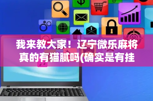 我来教大家！辽宁微乐麻将真的有猫腻吗(确实是有挂的)