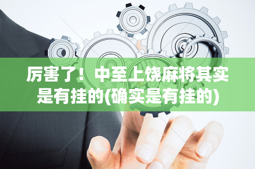 厉害了！中至上饶麻将其实是有挂的(确实是有挂的)