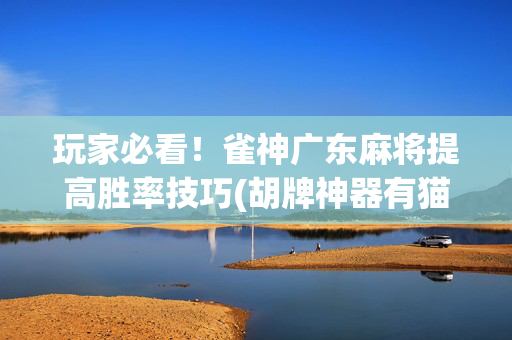 玩家必看！雀神广东麻将提高胜率技巧(胡牌神器有猫腻吗)