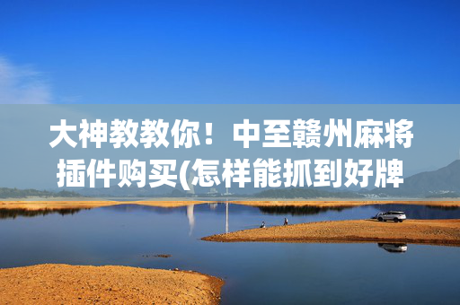 大神教教你！中至赣州麻将插件购买(怎样能抓到好牌)