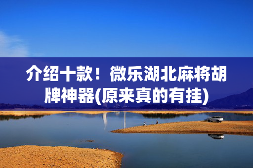 介绍十款！微乐湖北麻将胡牌神器(原来真的有挂)