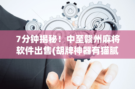 7分钟揭秘！中至赣州麻将软件出售(胡牌神器有猫腻吗)