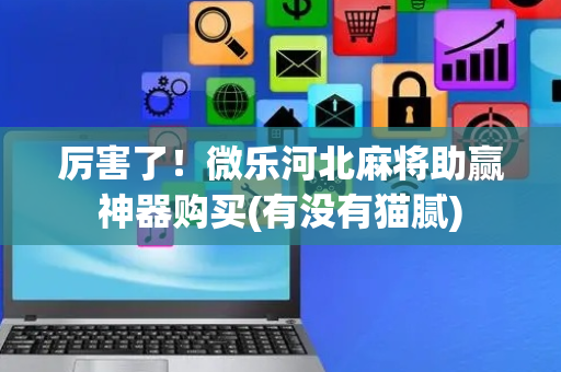 厉害了！微乐河北麻将助赢神器购买(有没有猫腻)
