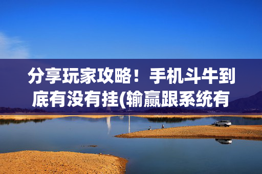 分享玩家攻略！手机斗牛到底有没有挂(输赢跟系统有关系吗)
