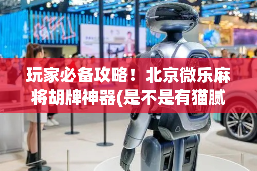 玩家必备攻略！北京微乐麻将胡牌神器(是不是有猫腻)