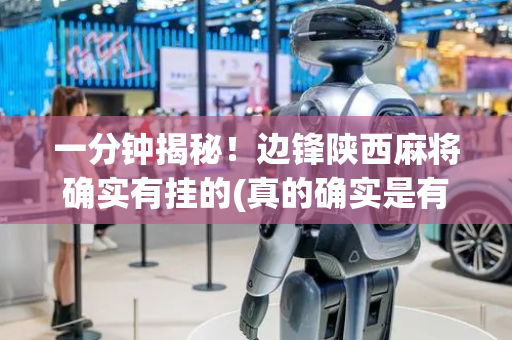 一分钟揭秘！边锋陕西麻将确实有挂的(真的确实是有挂)