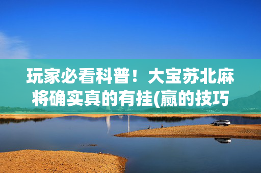 玩家必看科普！大宝苏北麻将确实真的有挂(赢的技巧提高胜率)