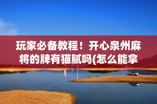 玩家必备教程！开心泉州麻将的牌有猫腻吗(怎么能拿好牌)