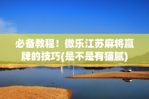 必备教程！微乐江苏麻将赢牌的技巧(是不是有猫腻)