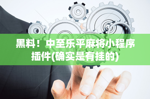 黑料！中至乐平麻将小程序插件(确实是有挂的)