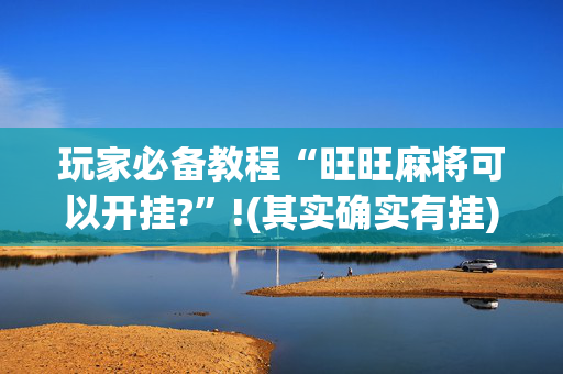 玩家必备教程“旺旺麻将可以开挂?”!(其实确实有挂)-抖音