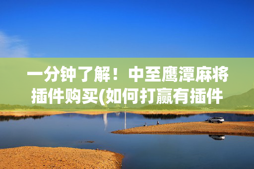 一分钟了解！中至鹰潭麻将插件购买(如何打赢有插件吗)