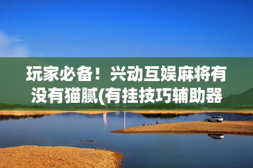 玩家必备！兴动互娱麻将有没有猫腻(有挂技巧辅助器)