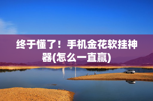 终于懂了！手机金花软挂神器(怎么一直赢)