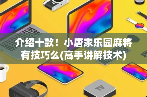 介绍十款！小唐家乐园麻将有技巧么(高手讲解技术)