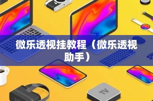 微乐透视挂教程（微乐透视助手）