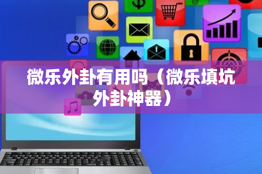 微乐外卦有用吗（微乐填坑外卦神器）