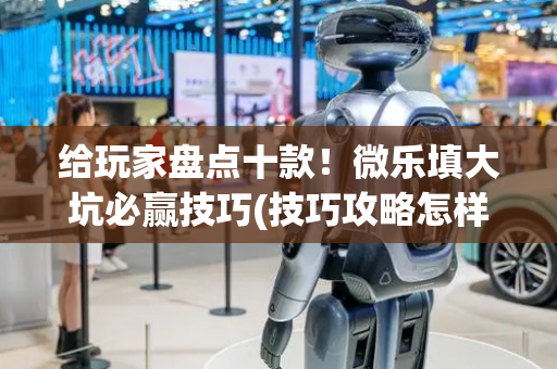 给玩家盘点十款！微乐填大坑必赢技巧(技巧攻略怎样拿好牌)