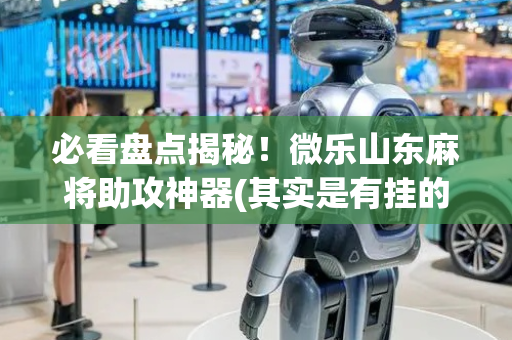 必看盘点揭秘！微乐山东麻将助攻神器(其实是有挂的)