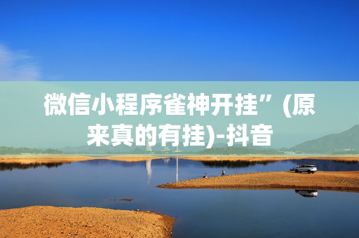 微信小程序雀神开挂”(原来真的有挂)-抖音