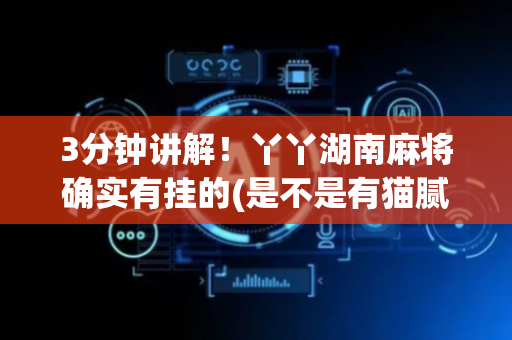3分钟讲解！丫丫湖南麻将确实有挂的(是不是有猫腻)
