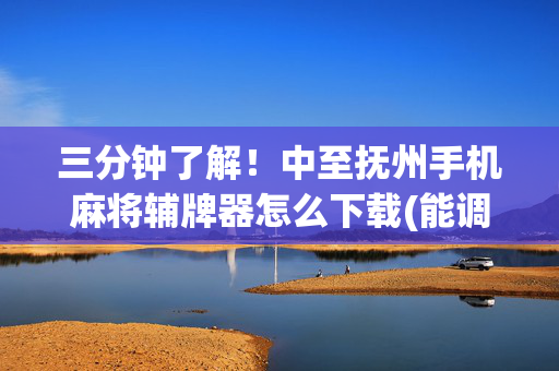 三分钟了解！中至抚州手机麻将辅牌器怎么下载(能调胜率吗)