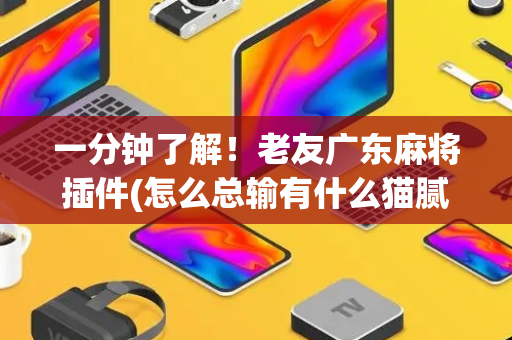 一分钟了解！老友广东麻将插件(怎么总输有什么猫腻)