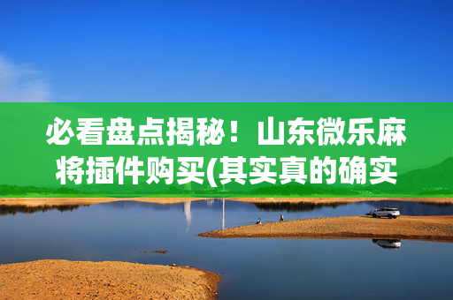 必看盘点揭秘！山东微乐麻将插件购买(其实真的确实有挂)