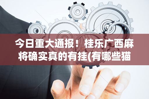今日重大通报！桂乐广西麻将确实真的有挂(有哪些猫腻)