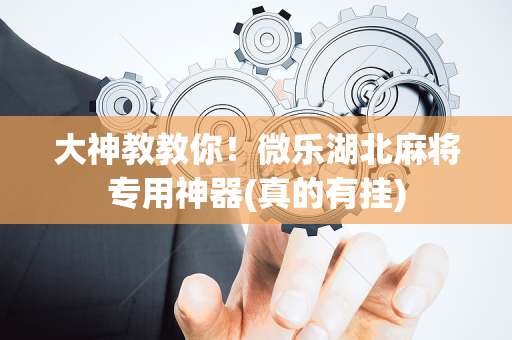 大神教教你！微乐湖北麻将专用神器(真的有挂)