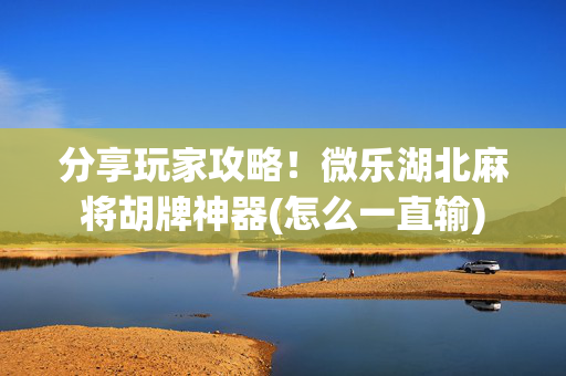 分享玩家攻略！微乐湖北麻将胡牌神器(怎么一直输)