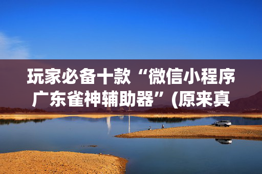 玩家必备十款“微信小程序广东雀神辅助器”(原来真的有挂)-抖音
