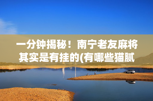 一分钟揭秘！南宁老友麻将其实是有挂的(有哪些猫腻)