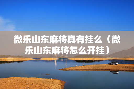 微乐山东麻将真有挂么（微乐山东麻将怎么开挂）