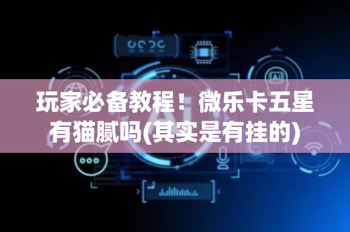 玩家必备教程！微乐卡五星有猫腻吗(其实是有挂的)