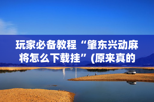 玩家必备教程“肇东兴动麻将怎么下载挂”(原来真的有挂)-抖音