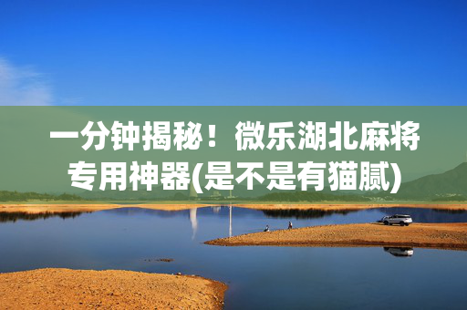 一分钟揭秘！微乐湖北麻将专用神器(是不是有猫腻)