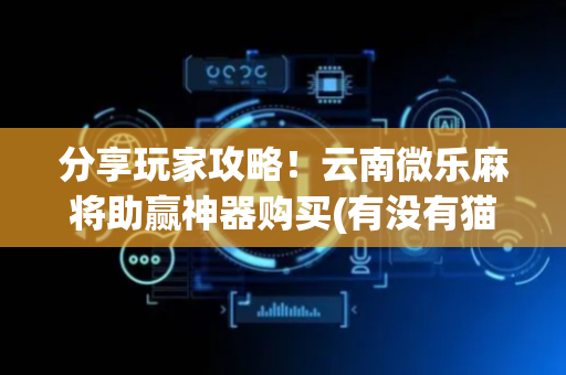 分享玩家攻略！云南微乐麻将助赢神器购买(有没有猫腻)