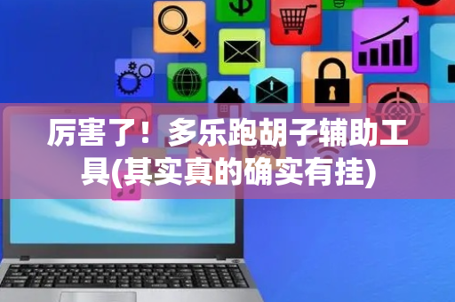 厉害了！多乐跑胡子辅助工具(其实真的确实有挂)