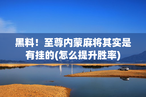黑料！至尊内蒙麻将其实是有挂的(怎么提升胜率)