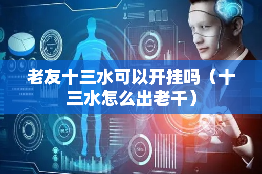 老友十三水可以开挂吗（十三水怎么出老千）