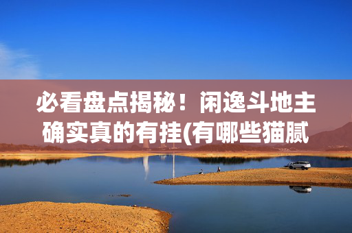 必看盘点揭秘！闲逸斗地主确实真的有挂(有哪些猫腻)